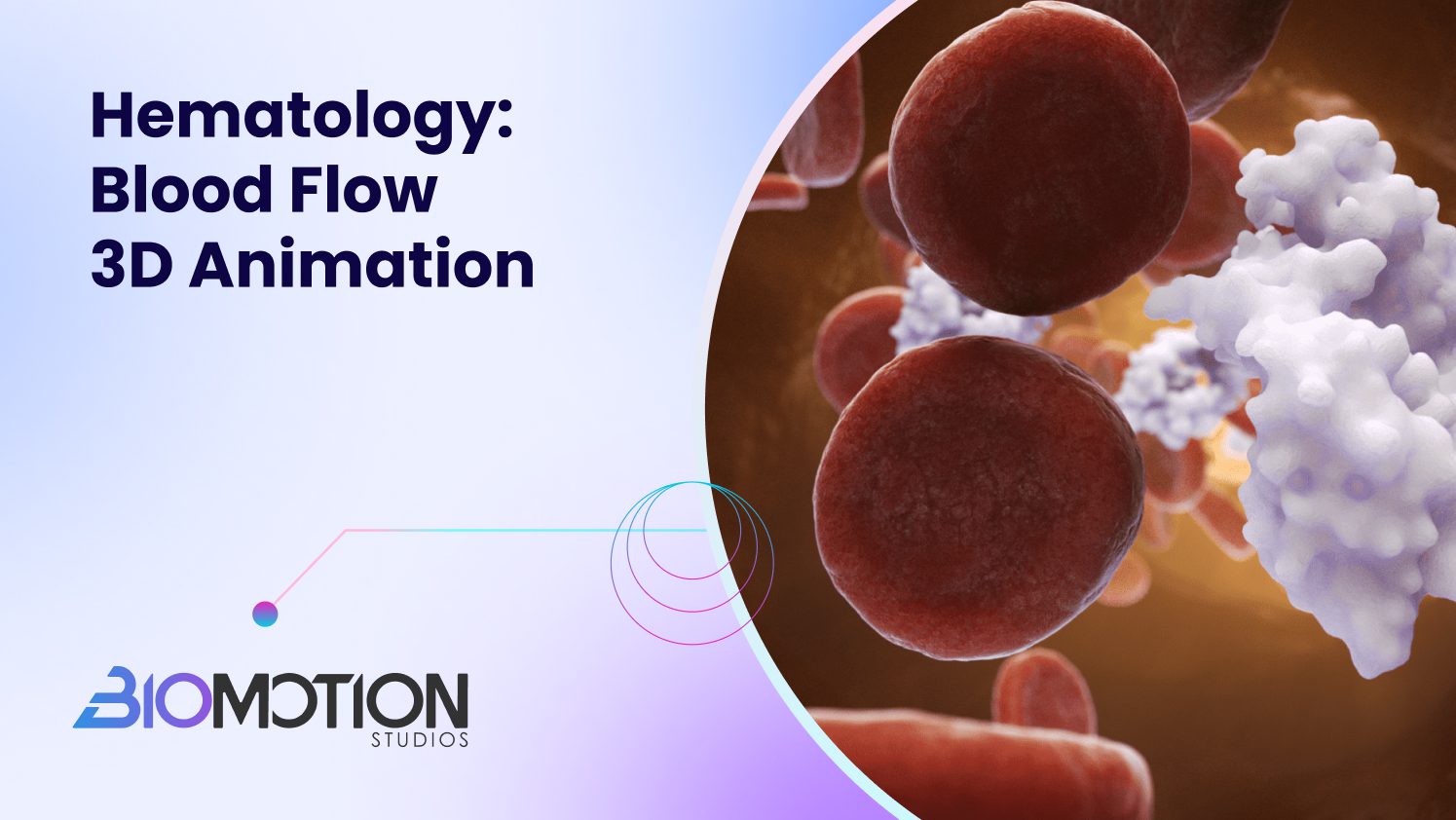 Blood Flow Animation